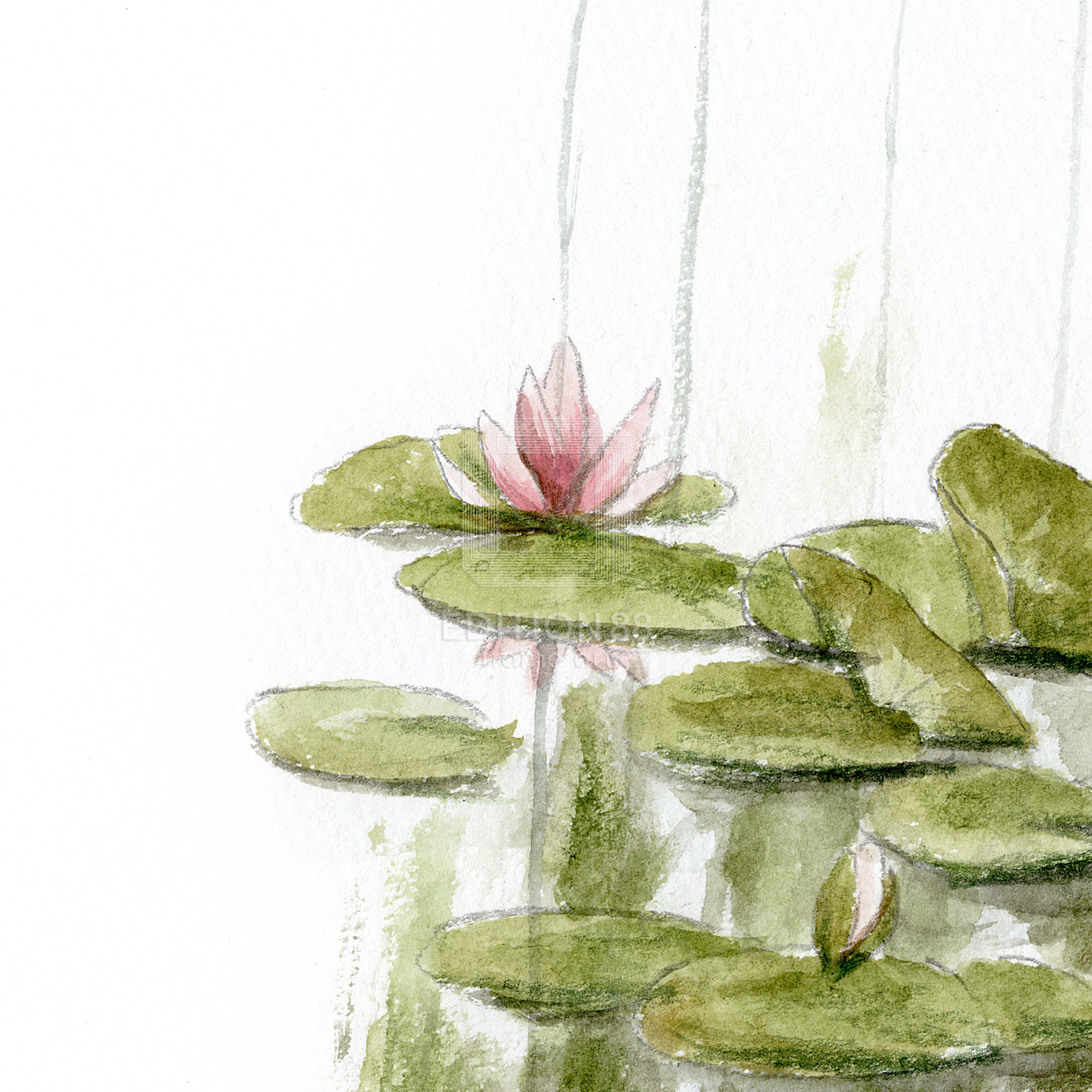 猫のダヤン 88グラフ「ジベルニー モネの庭」/池田あきこ(直筆サイン入り/限定200枚)