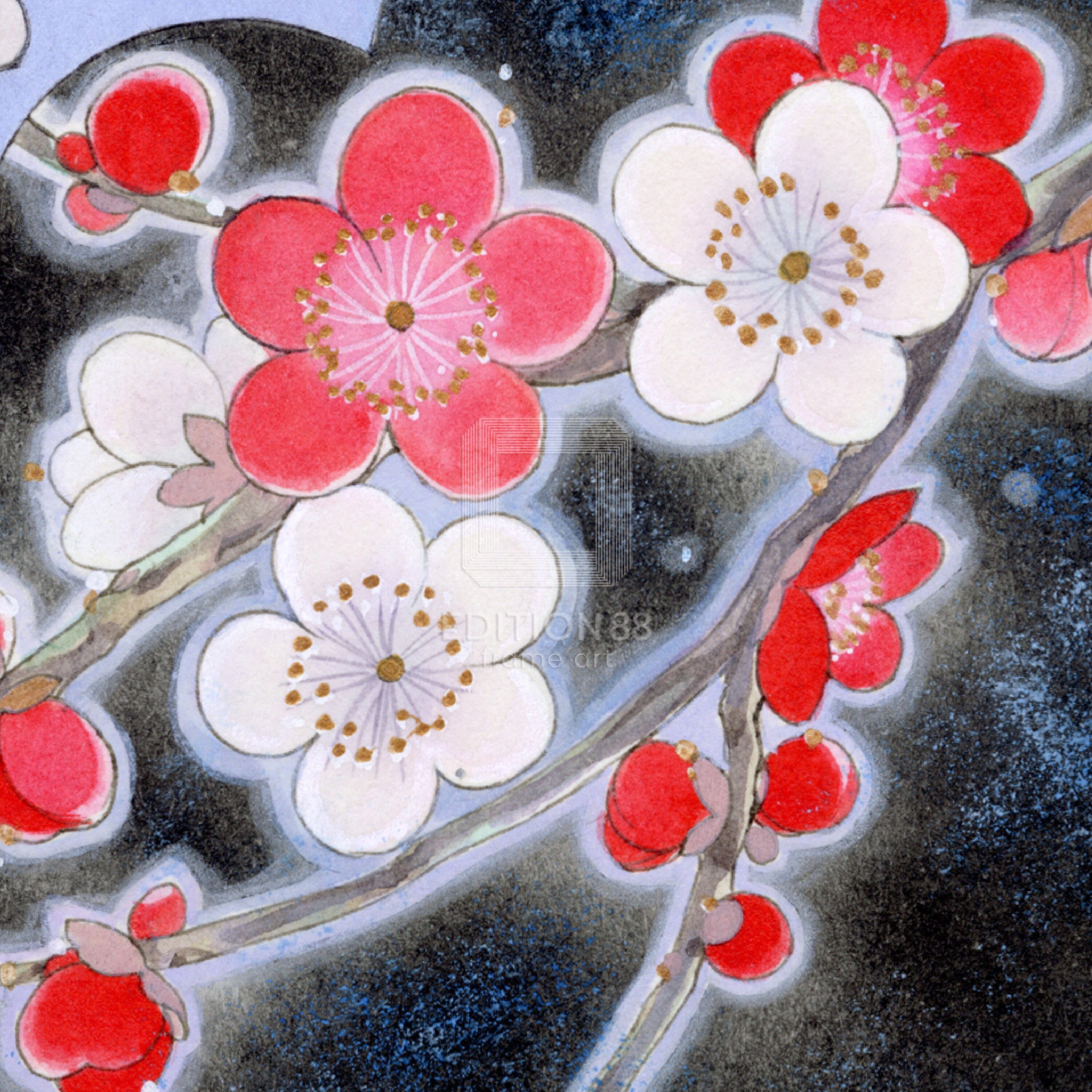 「彩雲国物語」88グラフ4/由羅カイリ(直筆サイン入り/限定20枚) 88グラフ Edition88