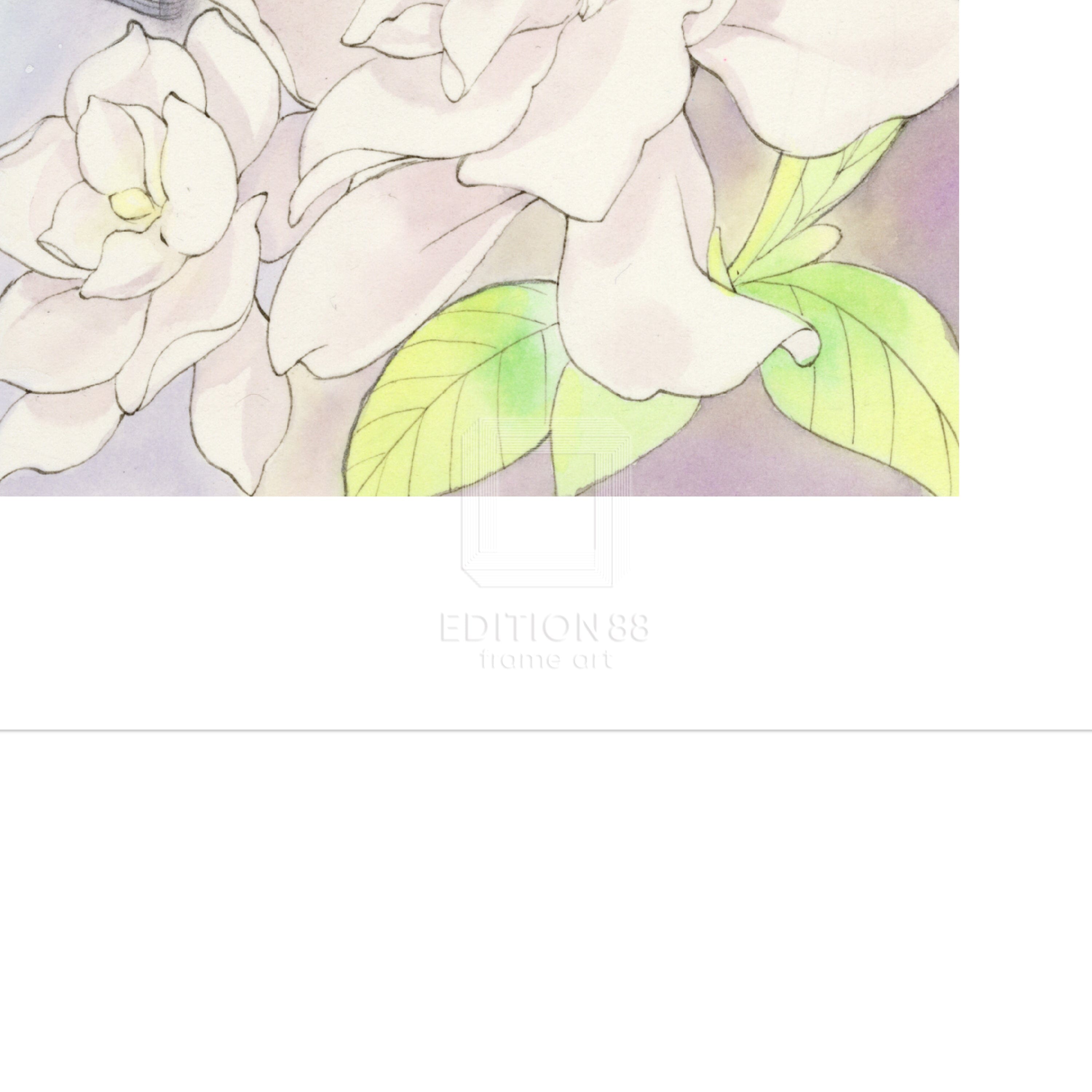 「彩雲国物語」88グラフ5/由羅カイリ(直筆サイン入り/限定20枚) 88グラフ Edition88