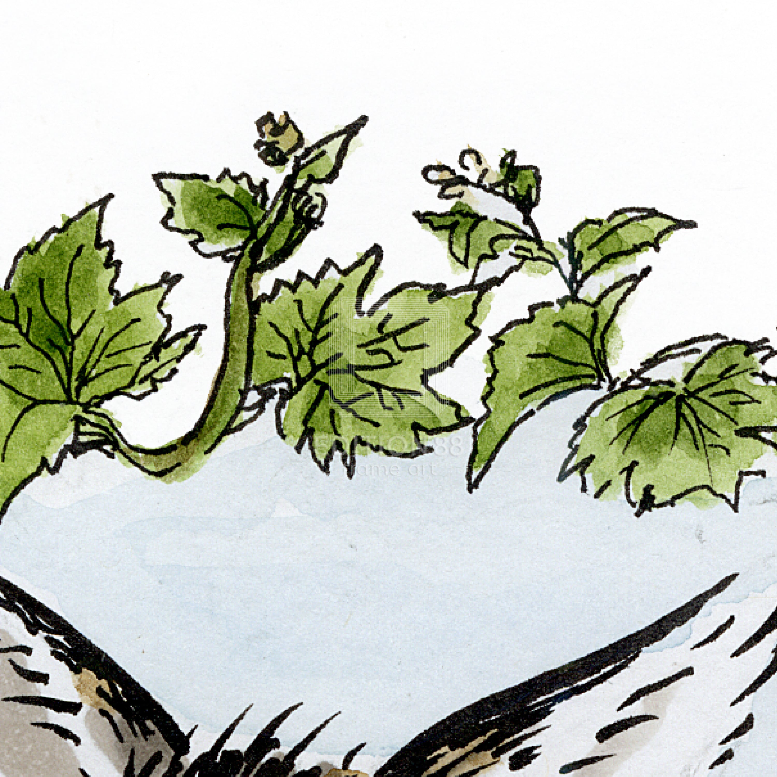 猫のダヤン 88グラフ「小さなワインの村」/池田あきこ(直筆サイン入り/限定200枚)