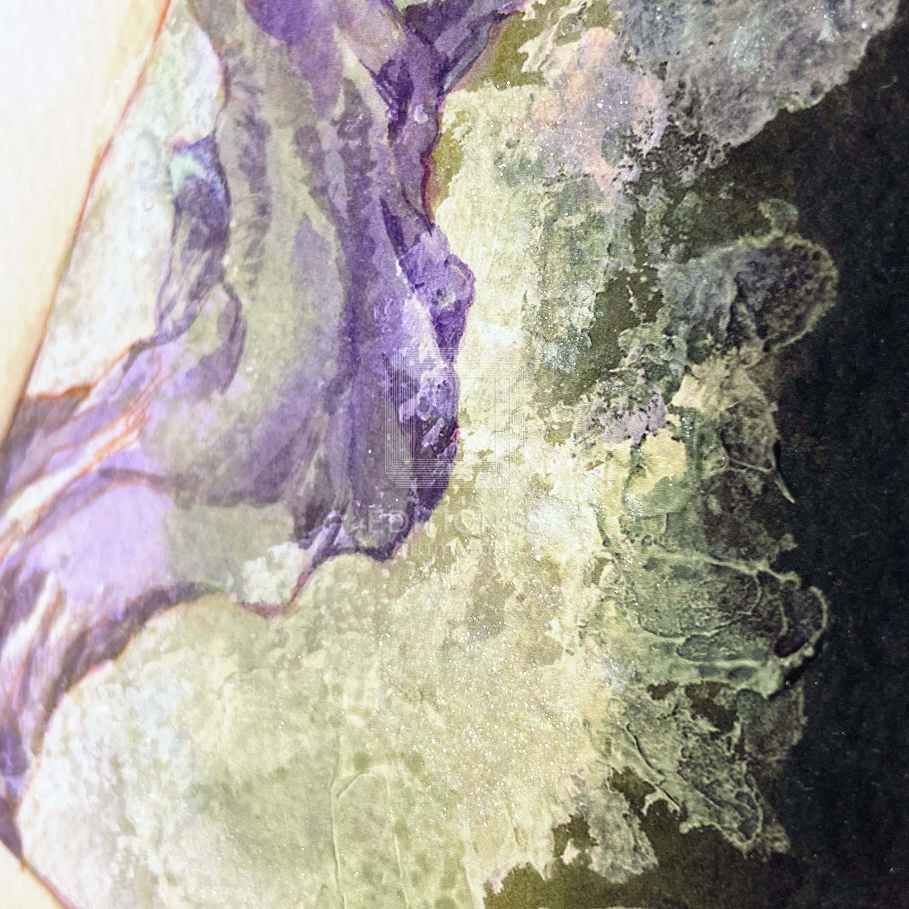 「ブレンパワード」88グラフ5 プラチナ版/いのまたむつみ(箔押しサイン入り)