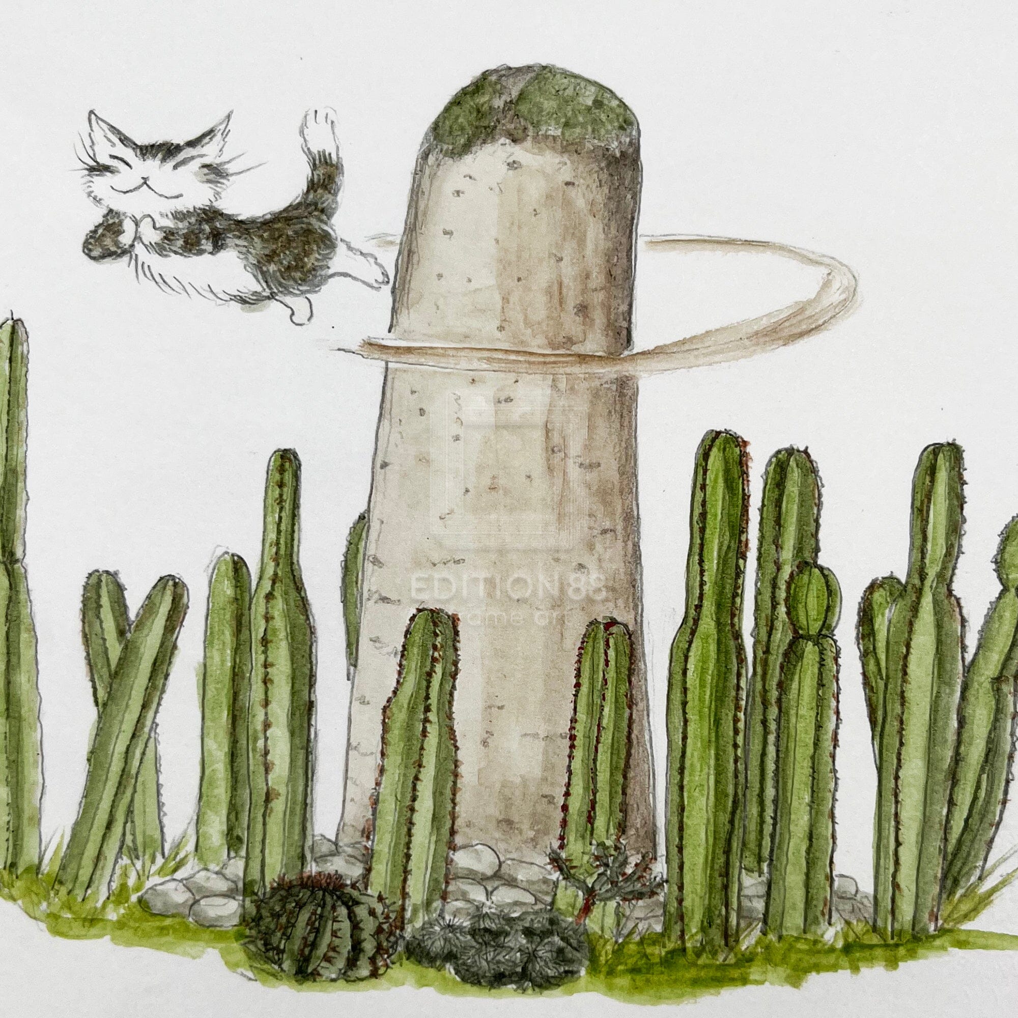 猫のダヤン 88グラフ「ミトラのサボテン」/池田あきこ(直筆サイン入り/限定200枚) 88グラフ Edition88