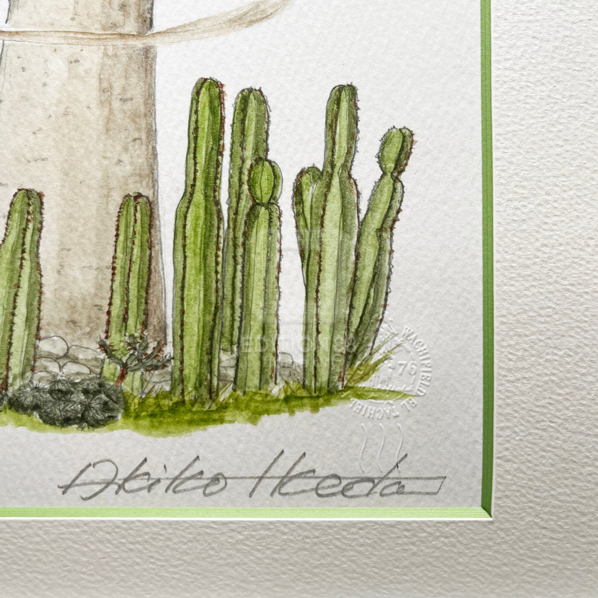 猫のダヤン 88グラフ「ミトラのサボテン」/池田あきこ(直筆サイン入り/限定200枚) 88グラフ Edition88