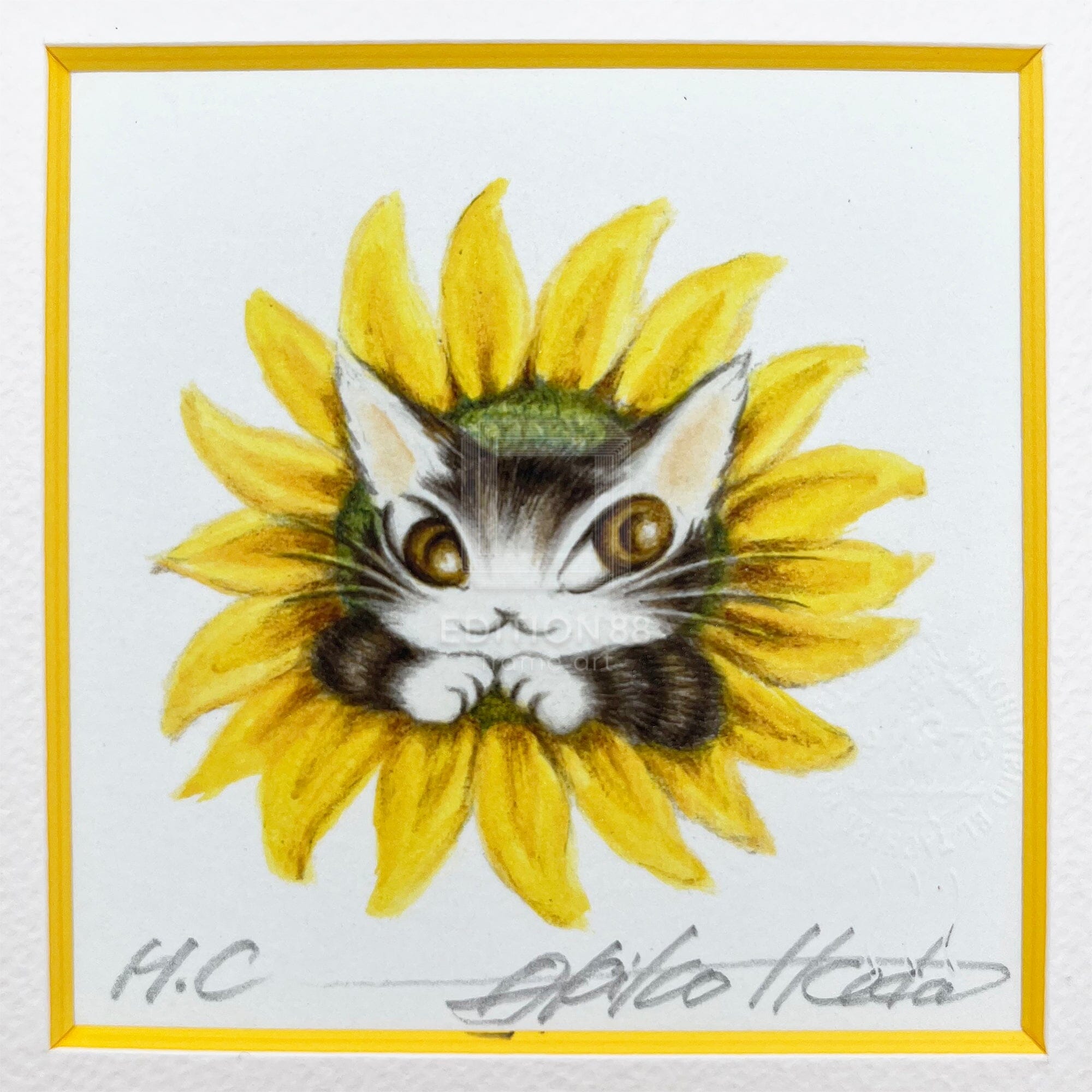 猫のダヤン 88グラフ「ひまわりダヤン」/池田あきこ(直筆サイン入り/限定200枚) 88グラフ Edition88