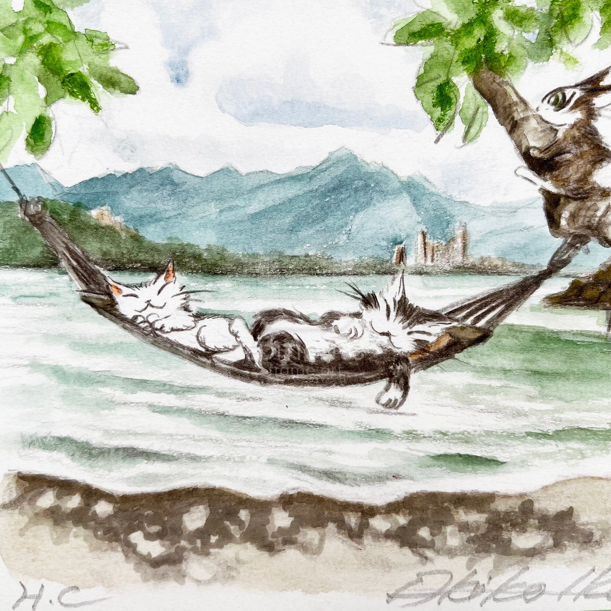 猫のダヤン 88グラフ「ボルネオのビーチ」/池田あきこ(直筆サイン入り/限定200枚) 88グラフ Edition88