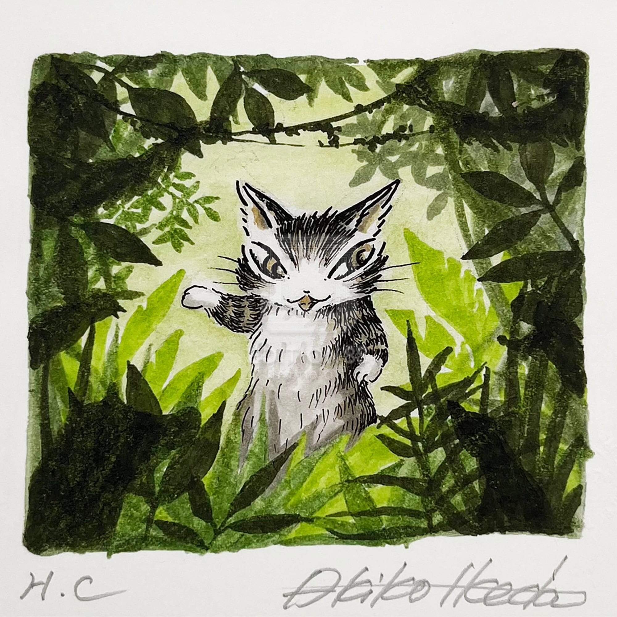 猫のダヤン 88グラフ「ボルネオの森」/池田あきこ(直筆サイン入り/限定200枚) 88グラフ Edition88