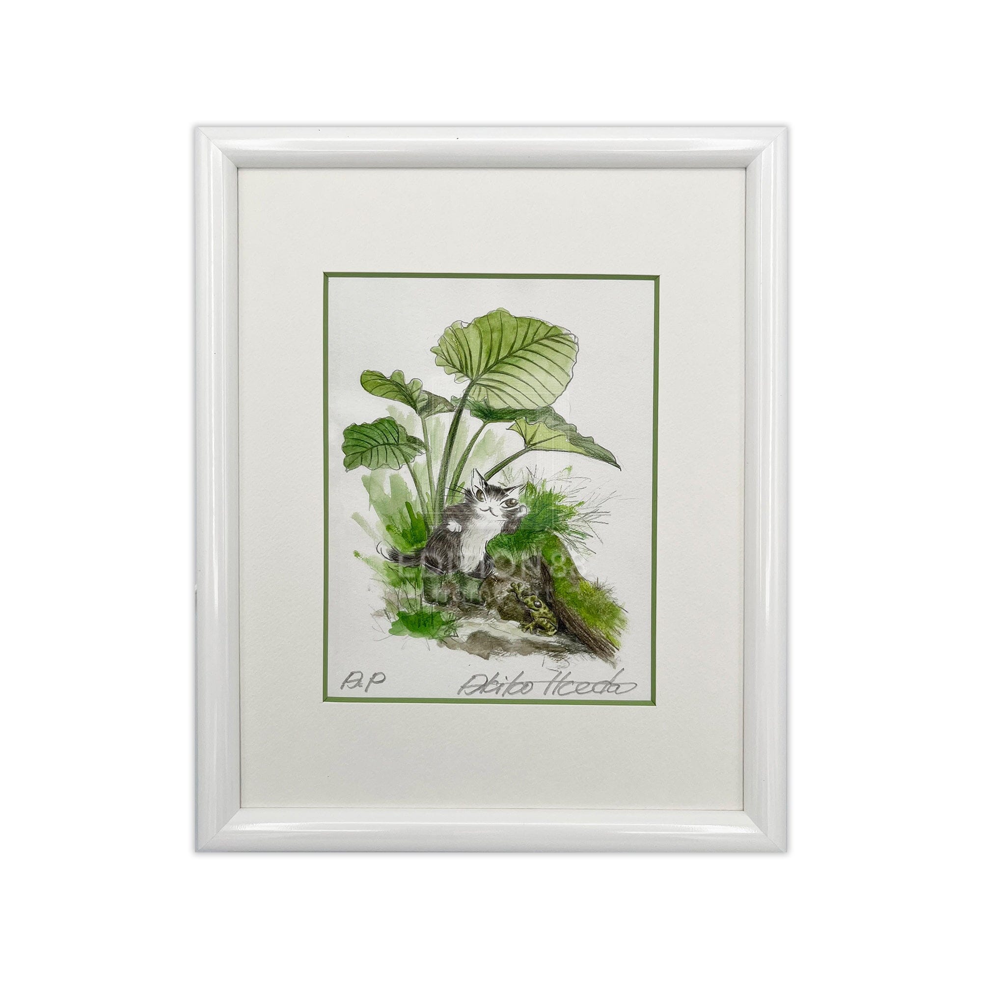 猫のダヤン 88グラフ「ヤンバルのカエル」/池田あきこ(直筆サイン入り/限定200枚) 88グラフ Edition88