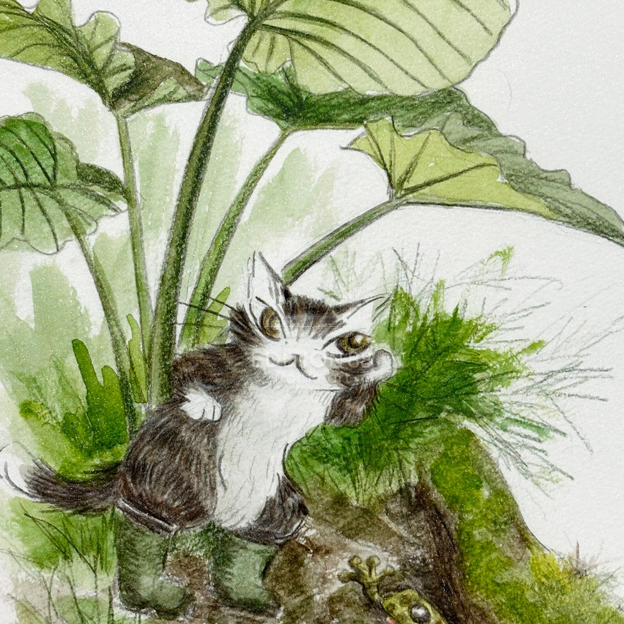 猫のダヤン 88グラフ「ヤンバルのカエル」/池田あきこ(直筆サイン入り/限定200枚) 88グラフ Edition88