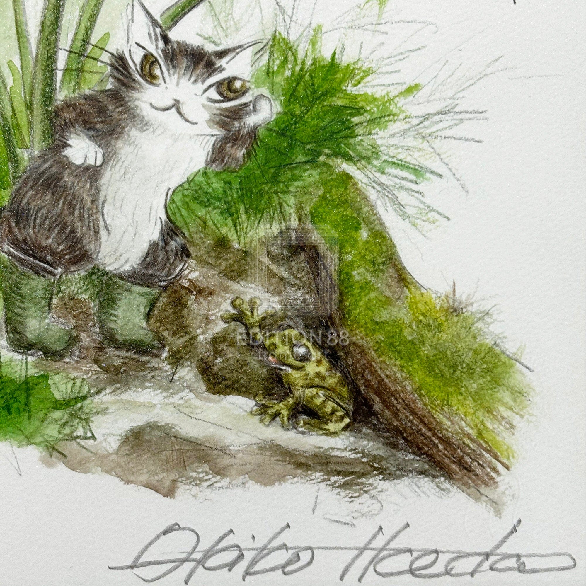 猫のダヤン 88グラフ「ヤンバルのカエル」/池田あきこ(直筆サイン入り/限定200枚) 88グラフ Edition88