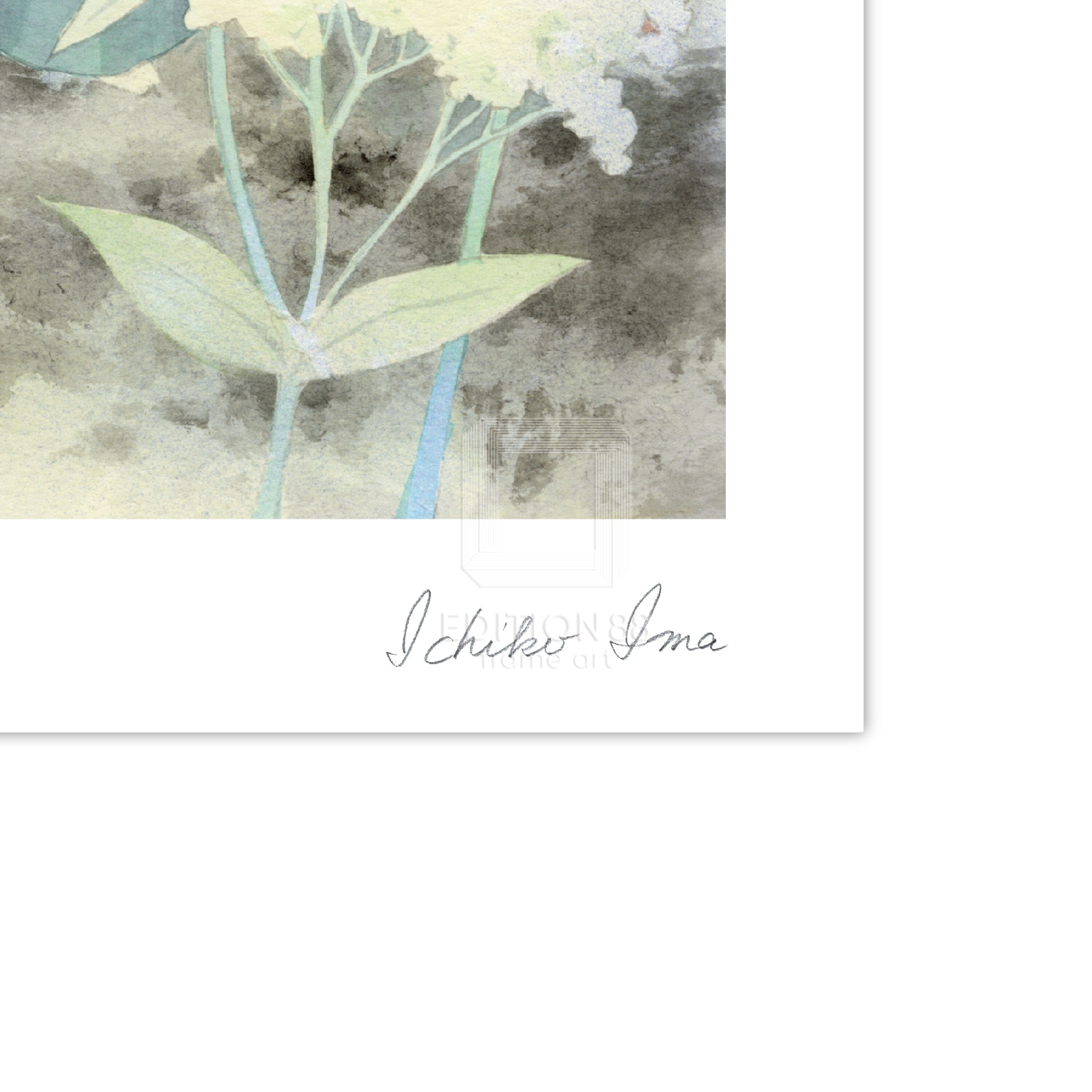 「百鬼夜行抄」88グラフ4 コミックス30巻 表紙 / 今市子(直筆サイン入り / 限定10枚) 88グラフ Edition88