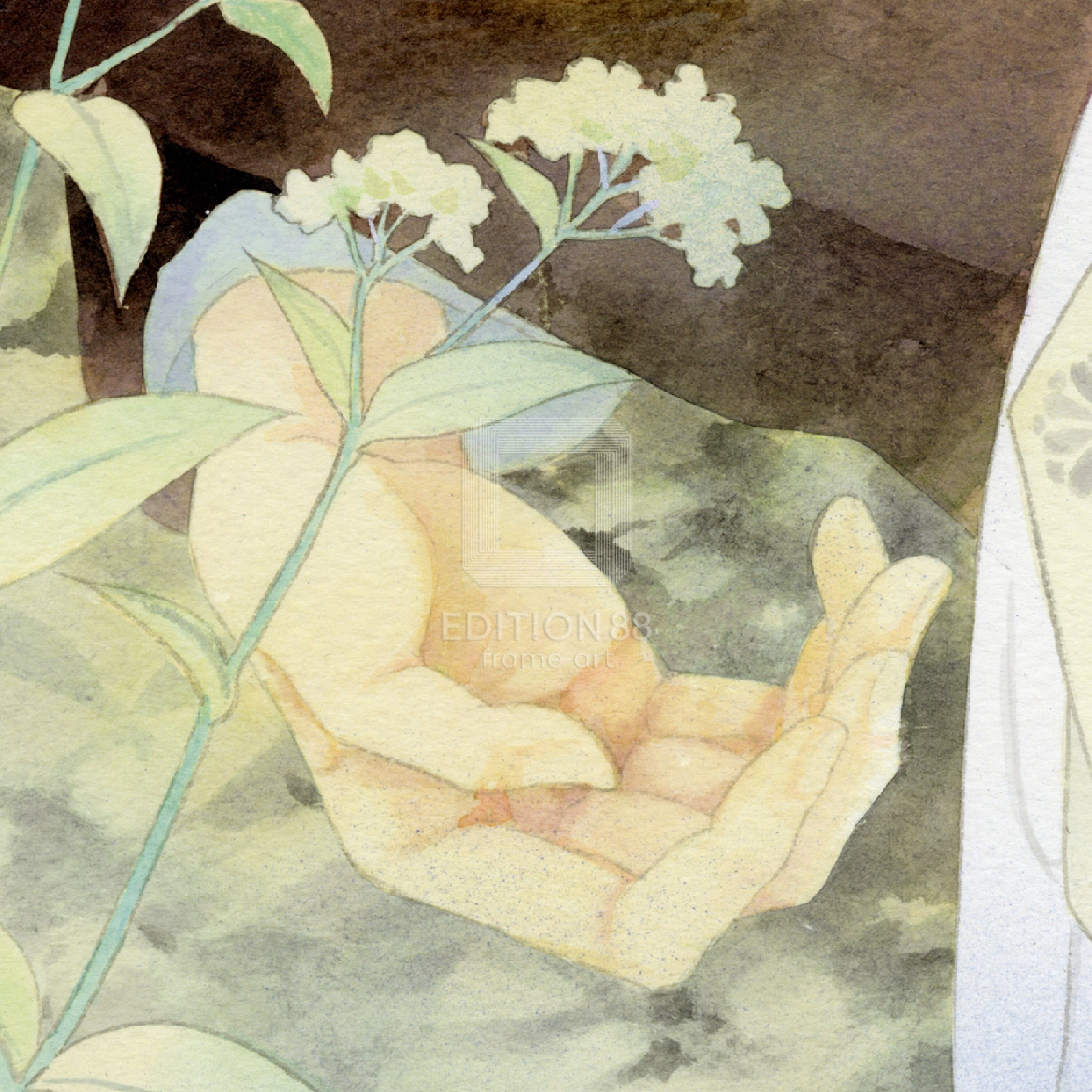 「百鬼夜行抄」88グラフ4 コミックス30巻 表紙 / 今市子(直筆サイン入り / 限定10枚) 88グラフ Edition88