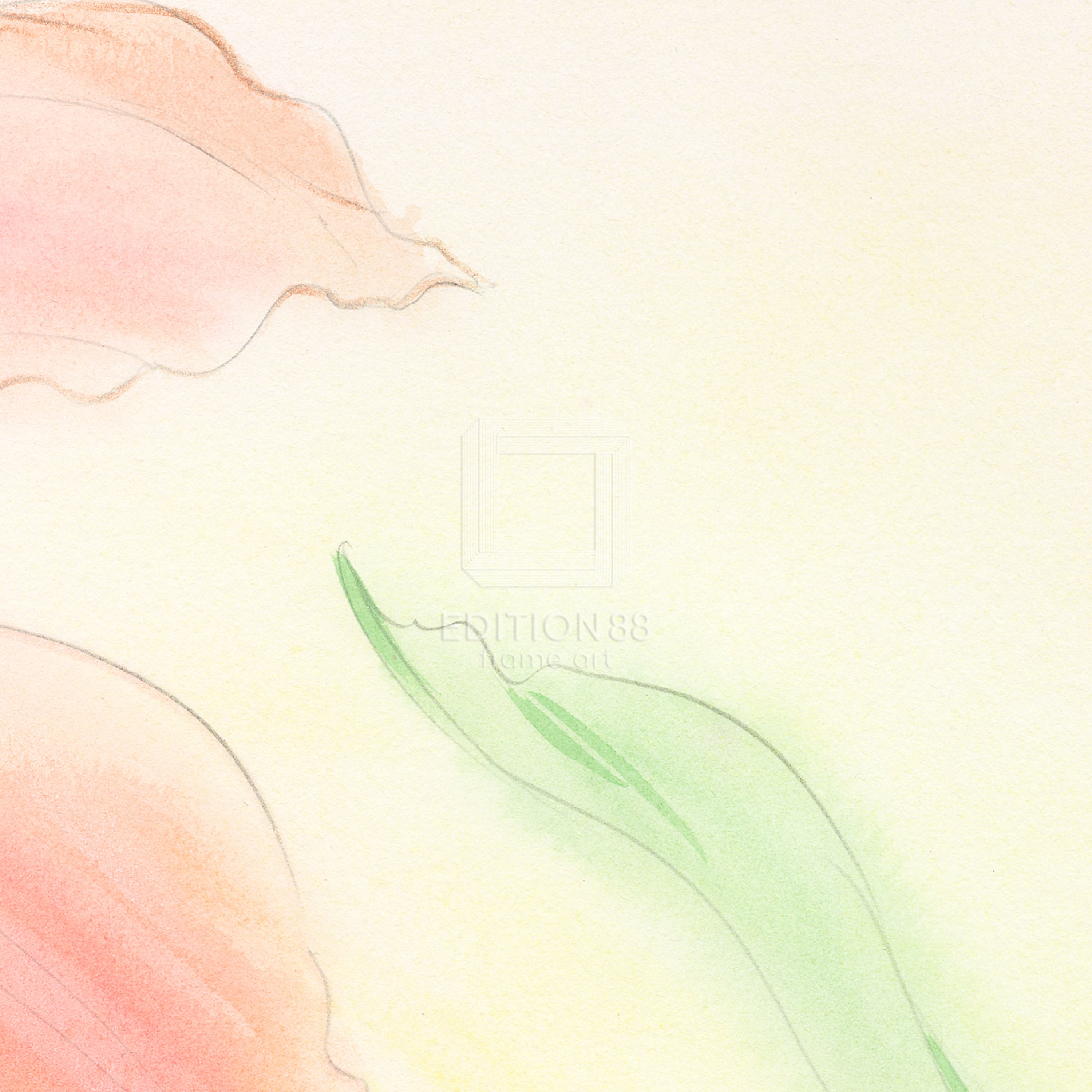 「魔法の天使クリィミーマミ」88グラフ fermata /高田明美(直筆サイン入り / 限定100枚)