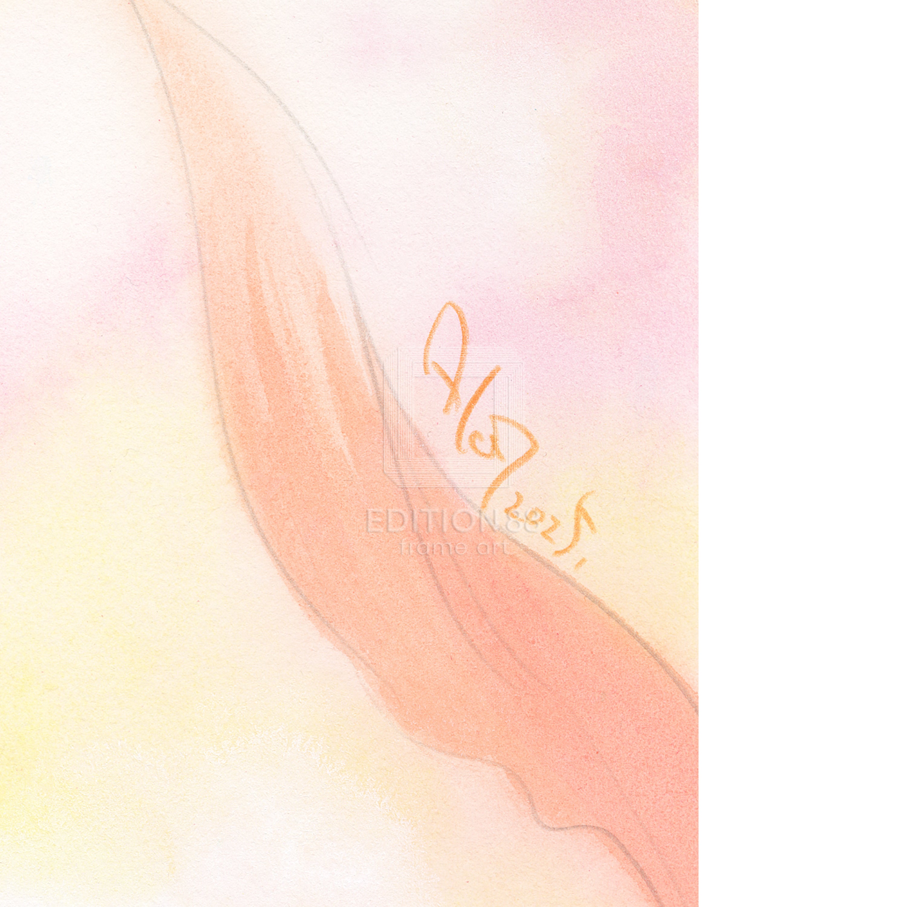 「魔法の天使クリィミーマミ」88グラフ fermata /高田明美(直筆サイン入り / 限定100枚)