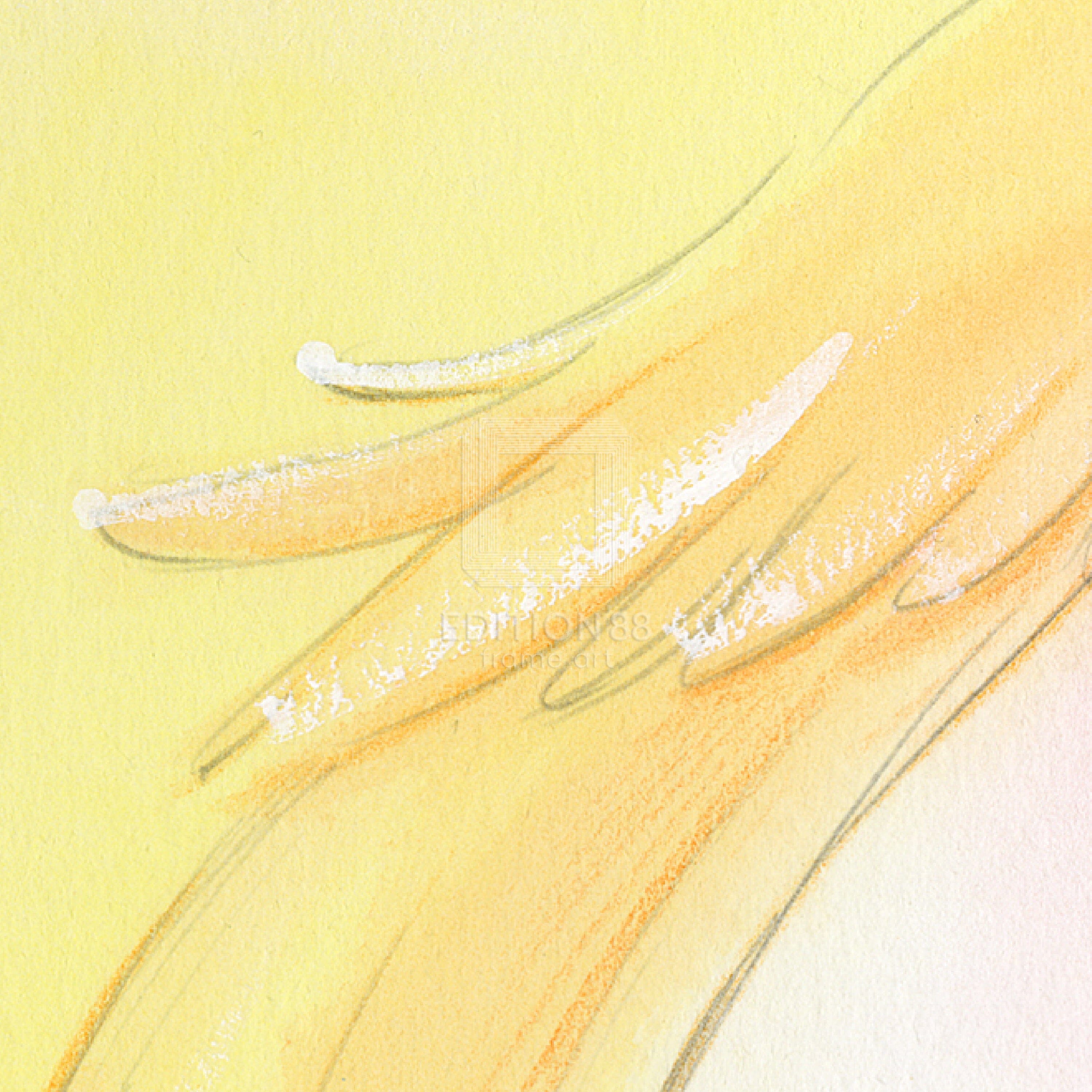 「魔法の天使 クリィミーマミ」88グラフ Sweet Dream /高田明美(直筆サイン入り / 限定100枚) 88グラフ Edition88