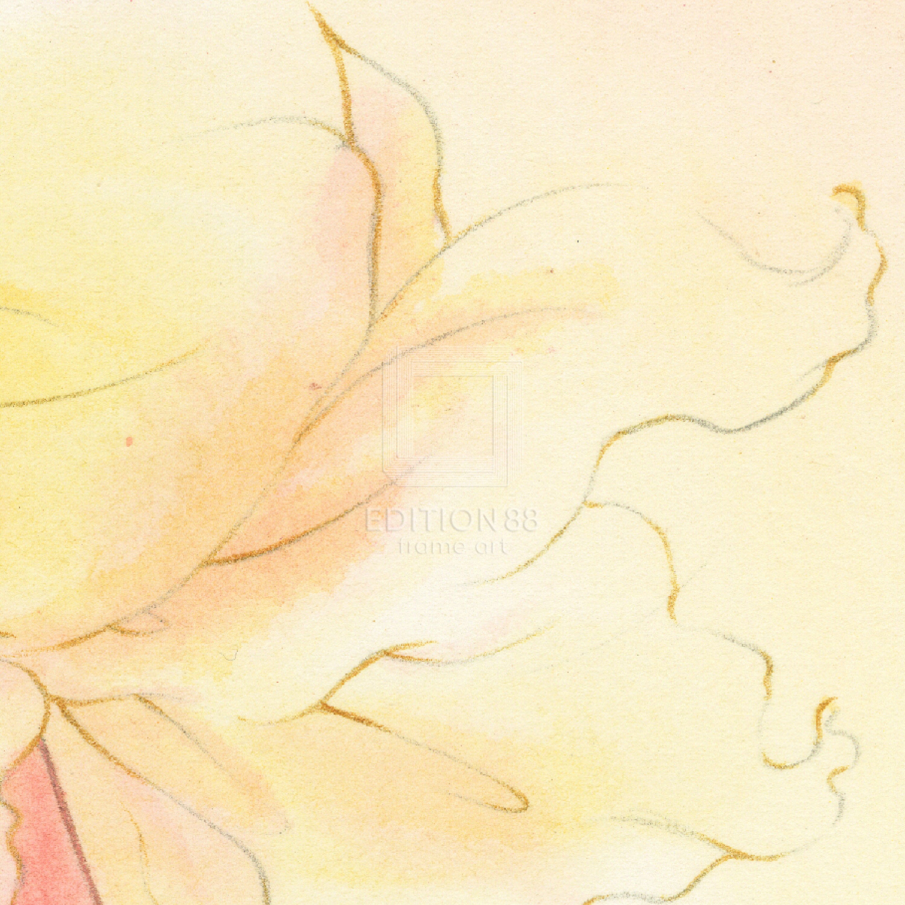 「魔法の天使 クリィミーマミ」88グラフ shall we dance? /高田明美(直筆サイン入り / 限定100枚) 88グラフ Edition88