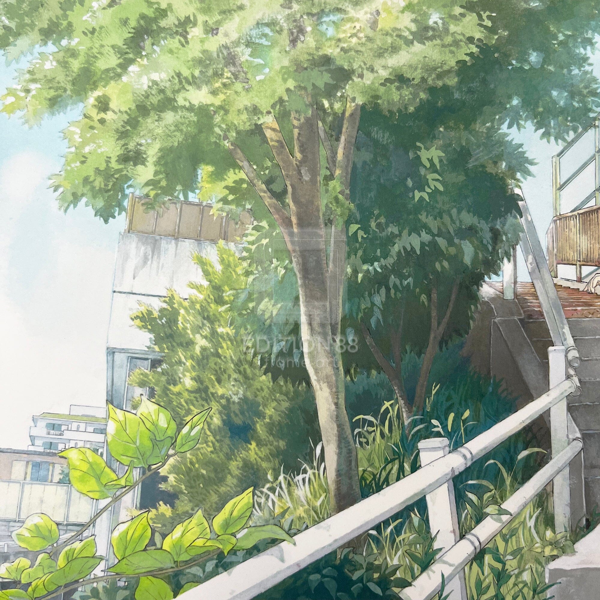 88グラフO/ 白身魚(直筆サイン入り/限定50枚) 88グラフ Edition88