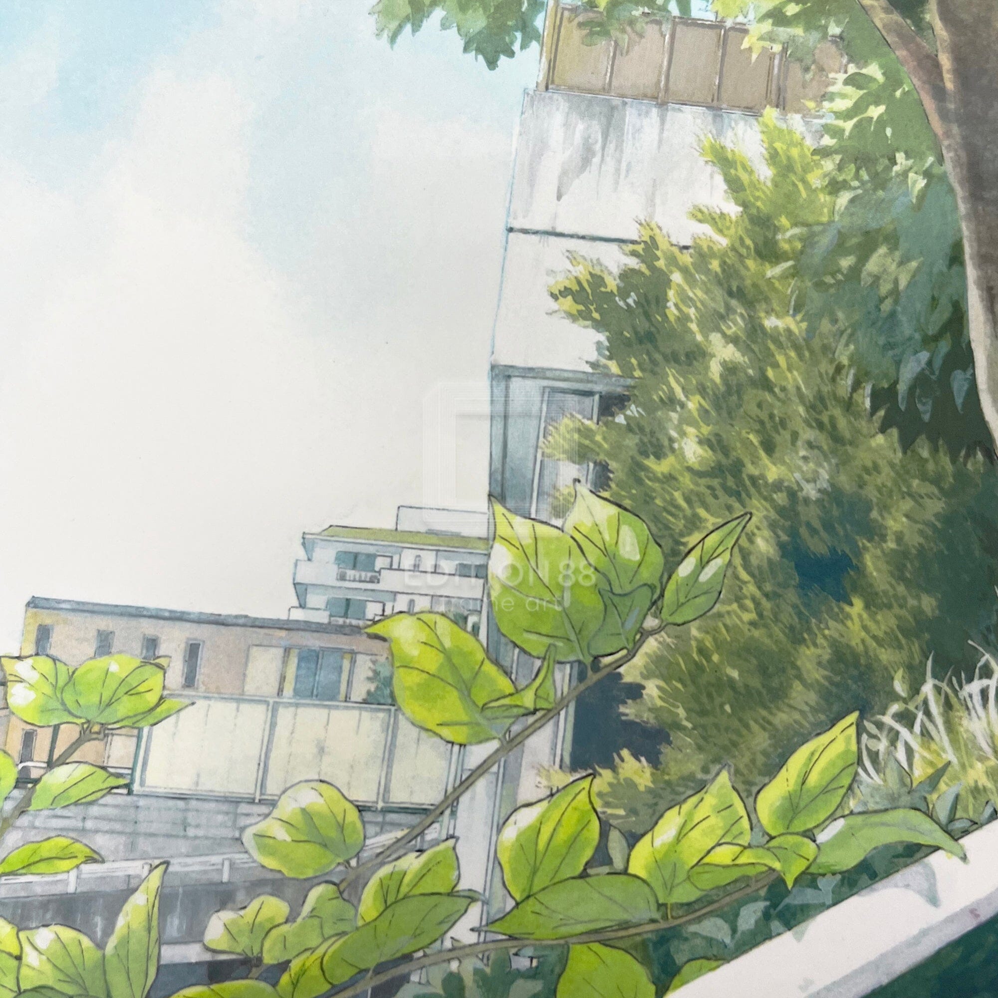 88グラフO/ 白身魚(直筆サイン入り/限定50枚) 88グラフ Edition88