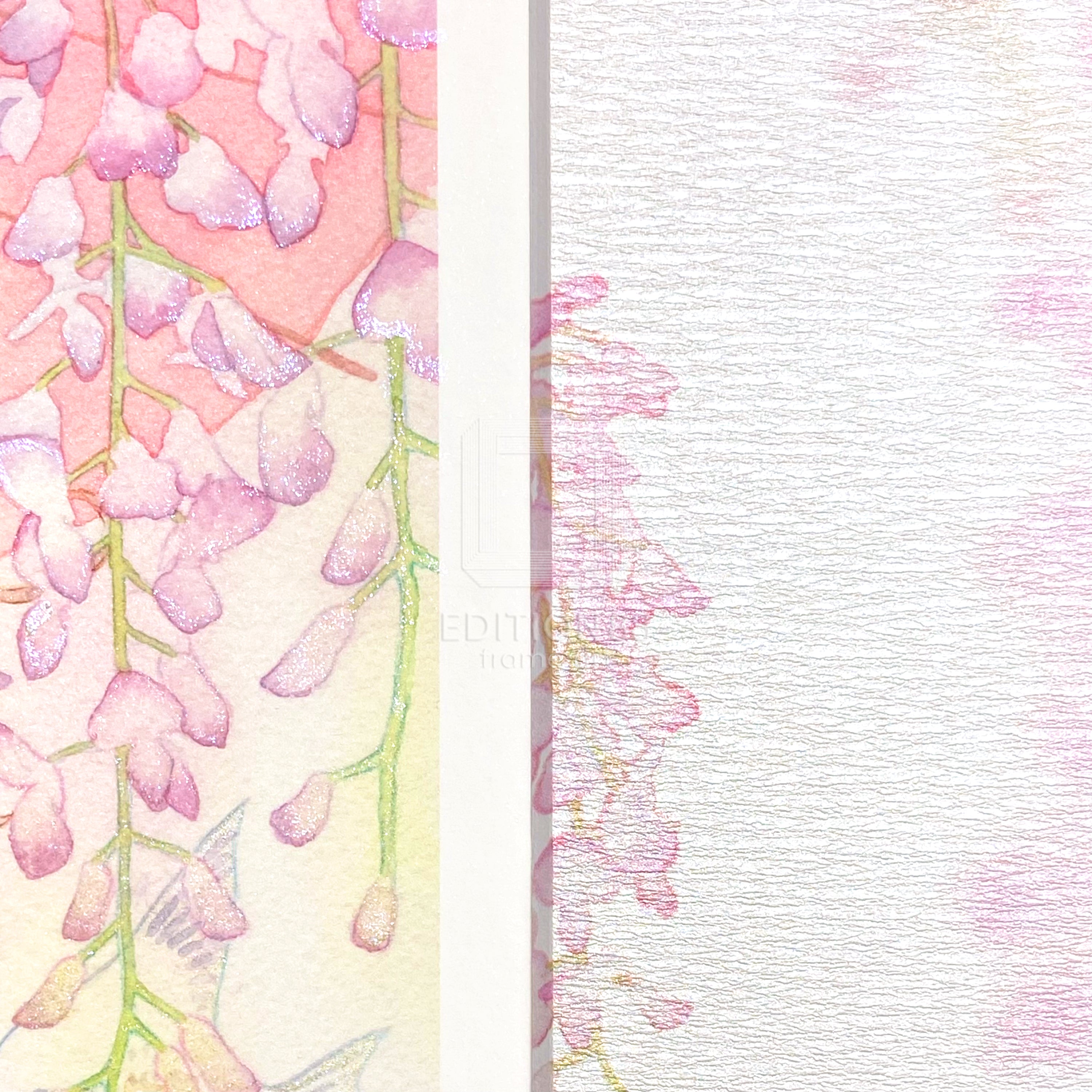 88グラフ6 『藤』 プラチナ版 / 友風子(直筆サイン&作家手彩入り/限定8枚)