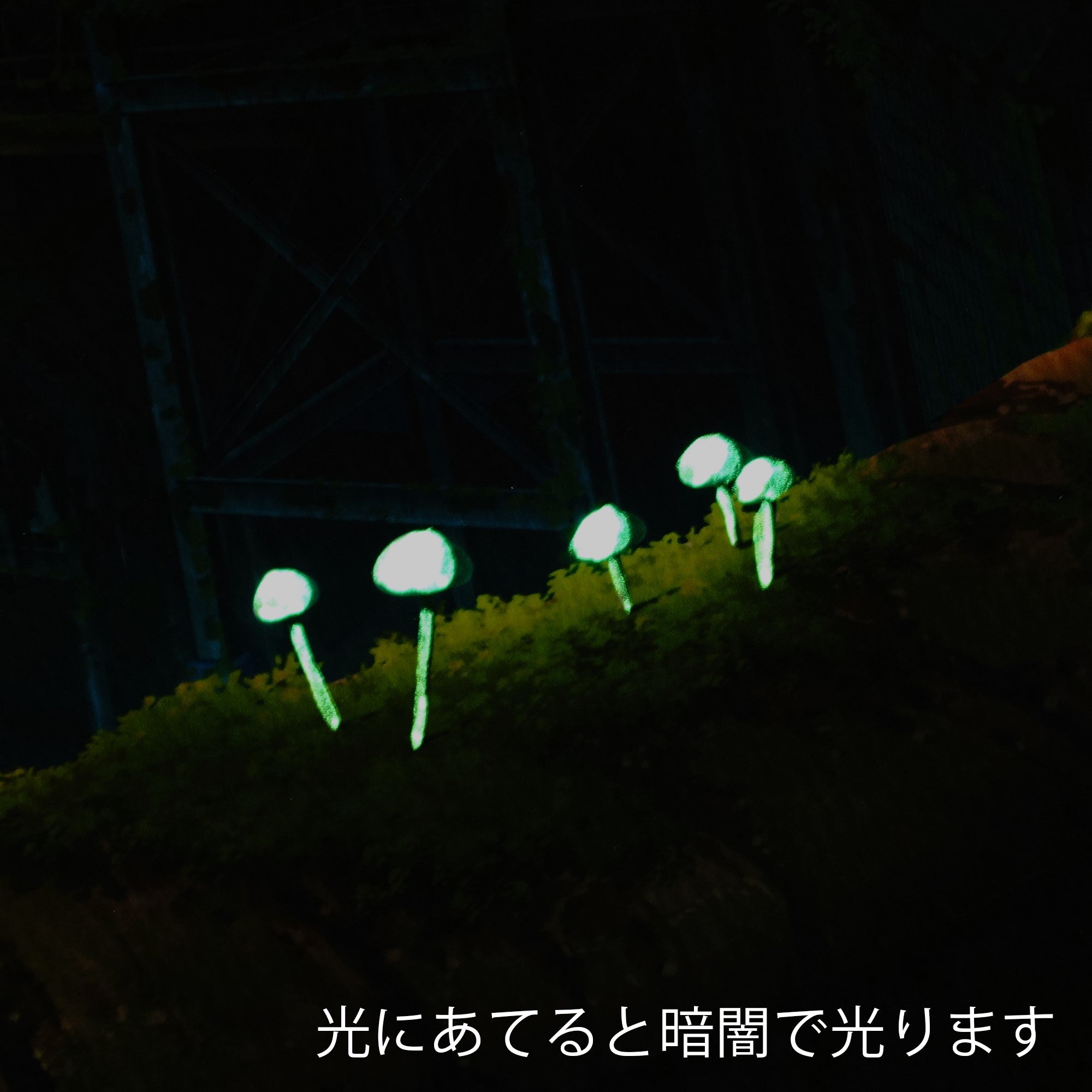 上野駅幻想クリスマス きらめき版 / 東京幻想(直筆サイン入り / 限定21枚) 版画 Edition88