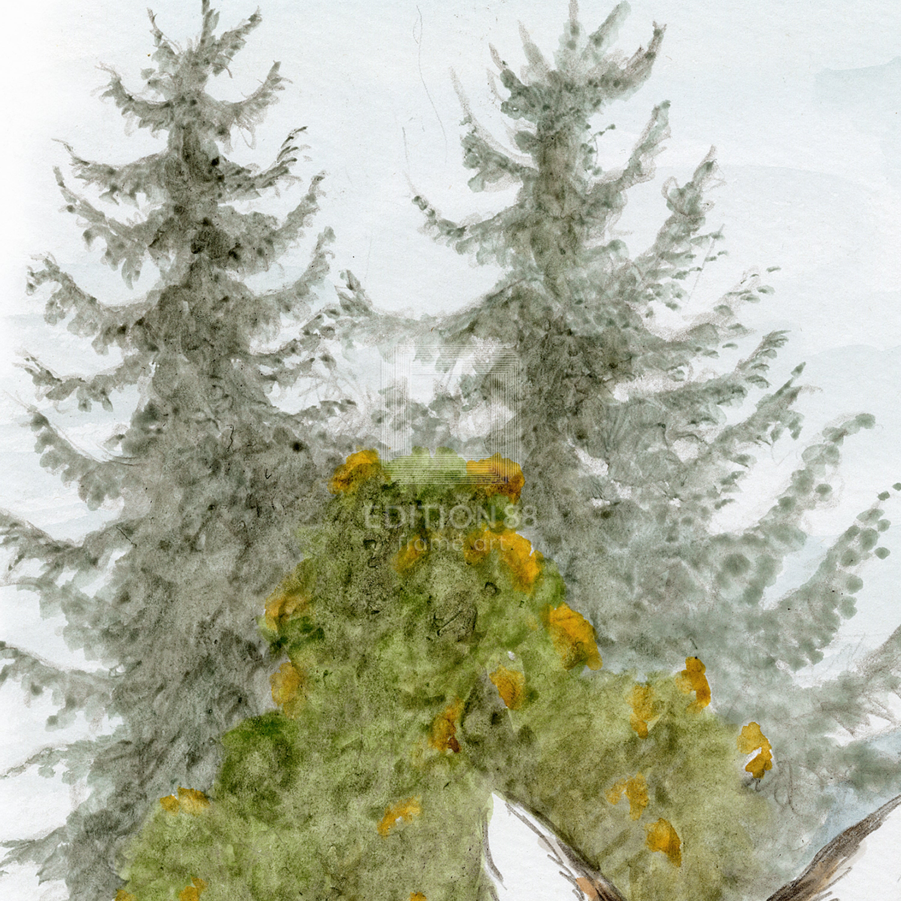 猫のダヤン 88グラフ「ルーマニアの森にはわちふぃーるどの風が吹く」/池田あきこ（直筆サイン入り/限定200枚）