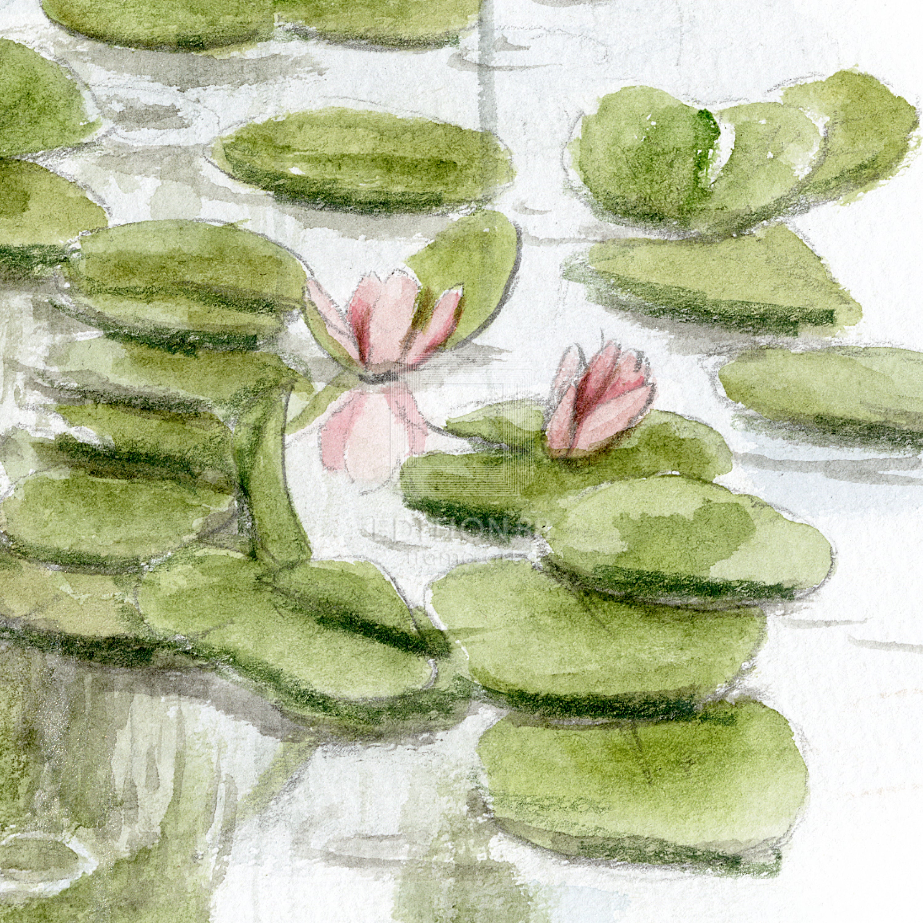 猫のダヤン 88グラフ「ジベルニー モネの庭」/池田あきこ（直筆サイン入り/限定200枚）