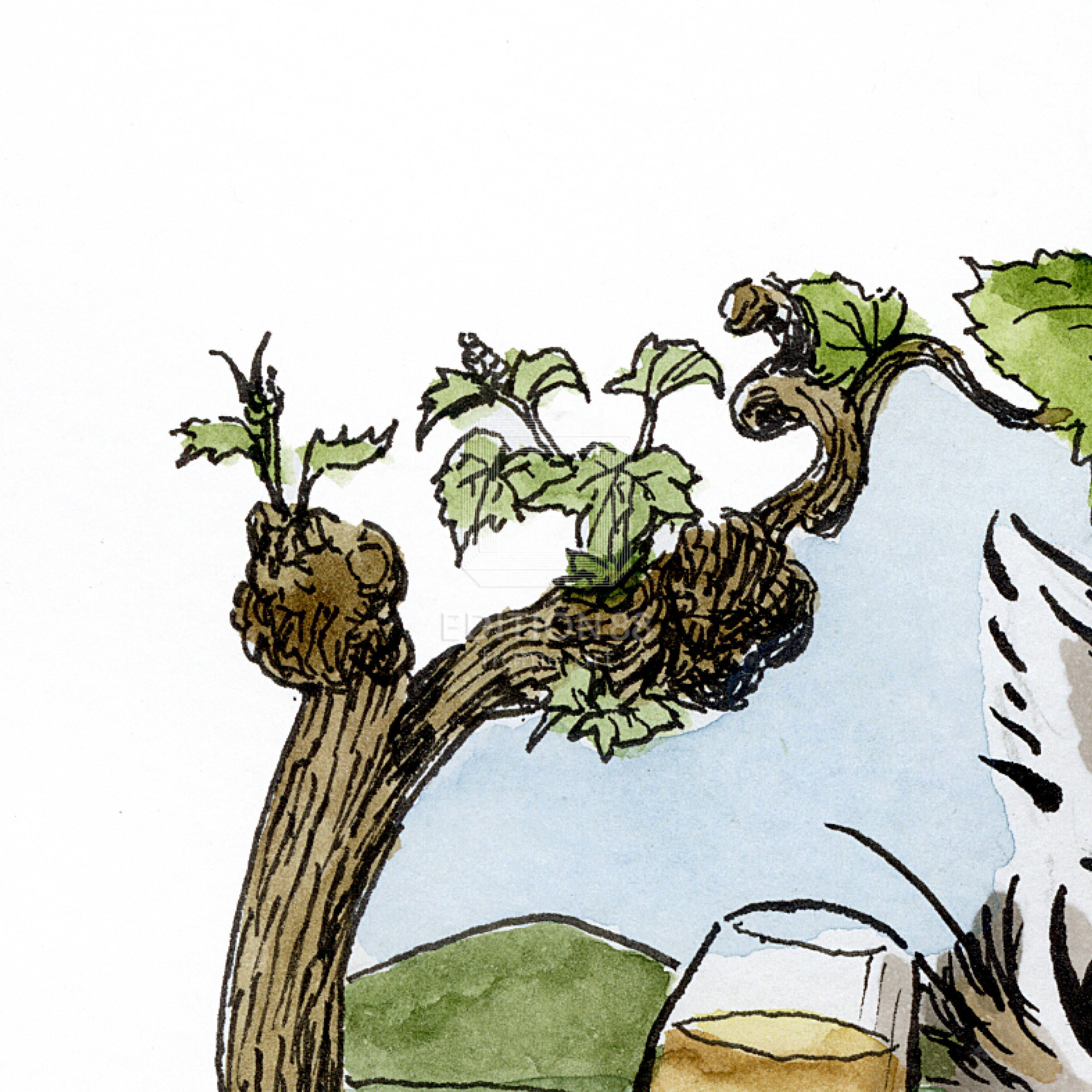 猫のダヤン 88グラフ「小さなワインの村」/池田あきこ（直筆サイン入り/限定200枚）