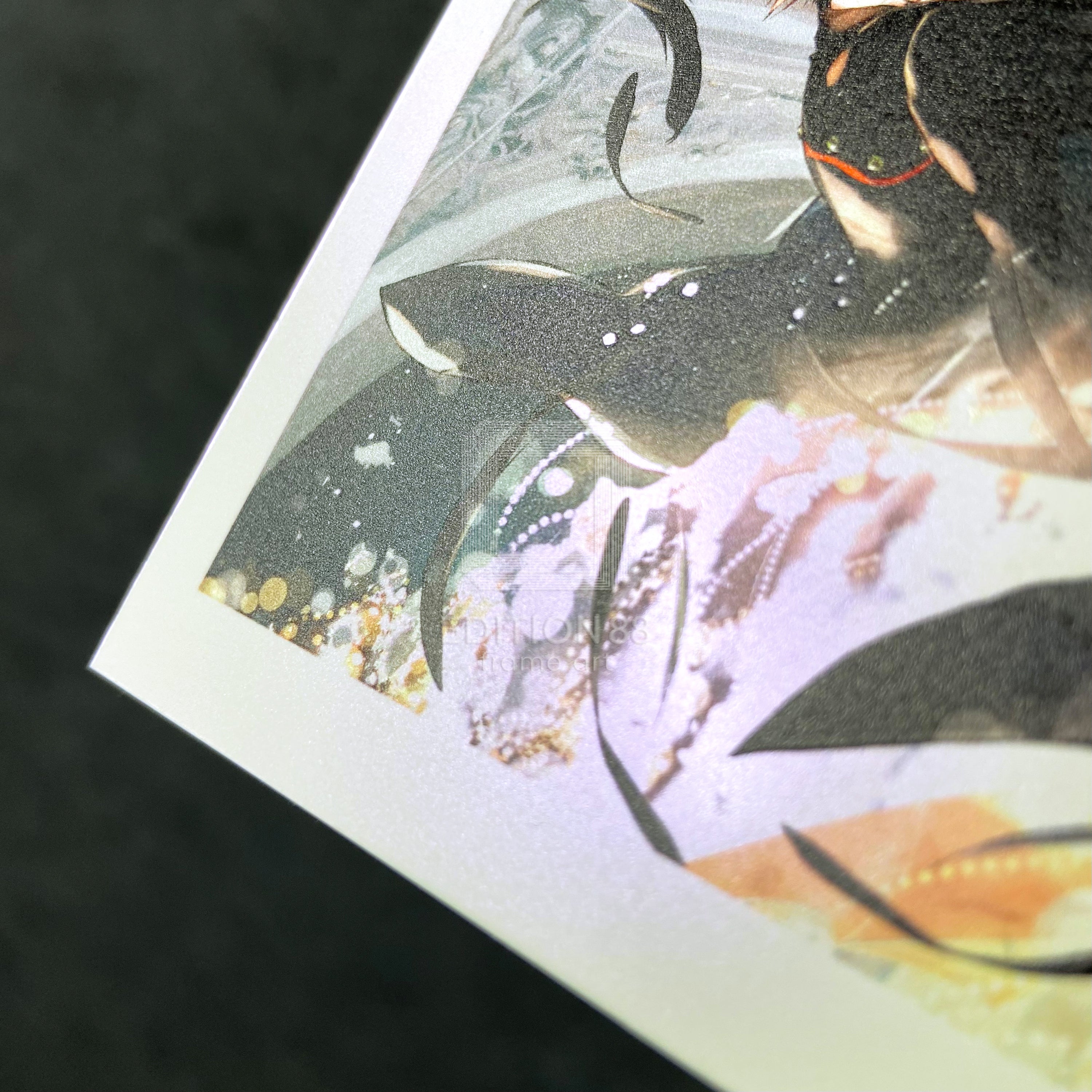 88グラフライト（L判）2/D・N・ANGEL