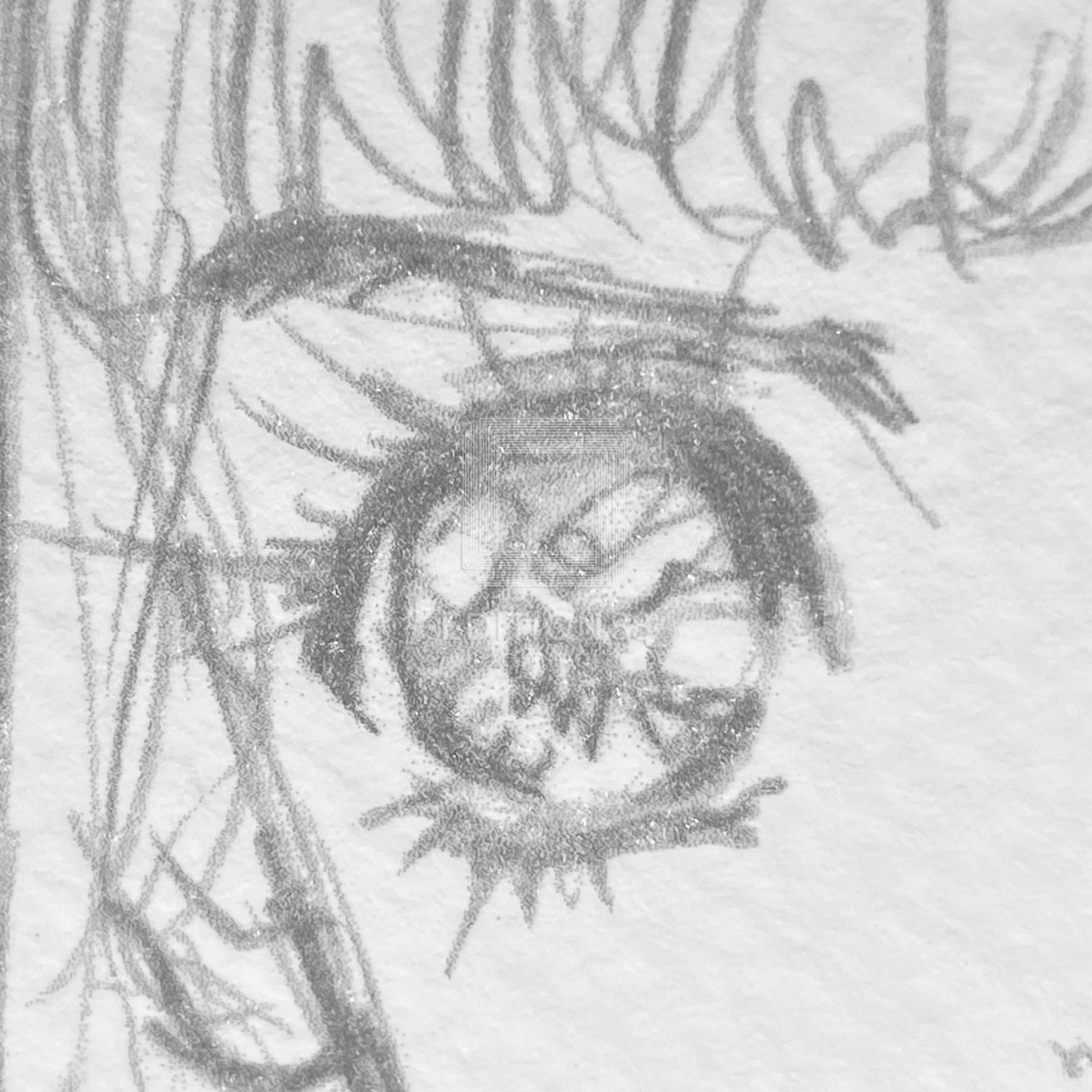 88グラフレコード「彩」/いのまたむつみ