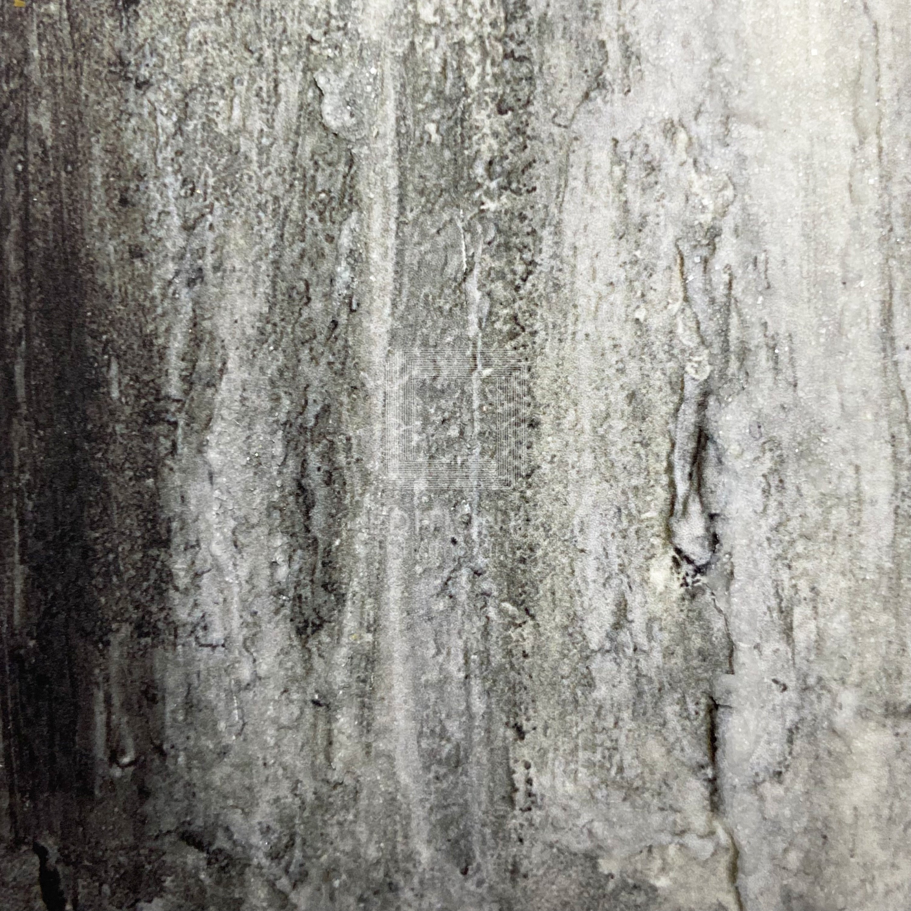 テイルズオブデスティニー/TALESOFREADINGLIVE/サイン入り台本 テイルズオブデスティニー/TALESOFREADINGLIVE/サイン入り台本