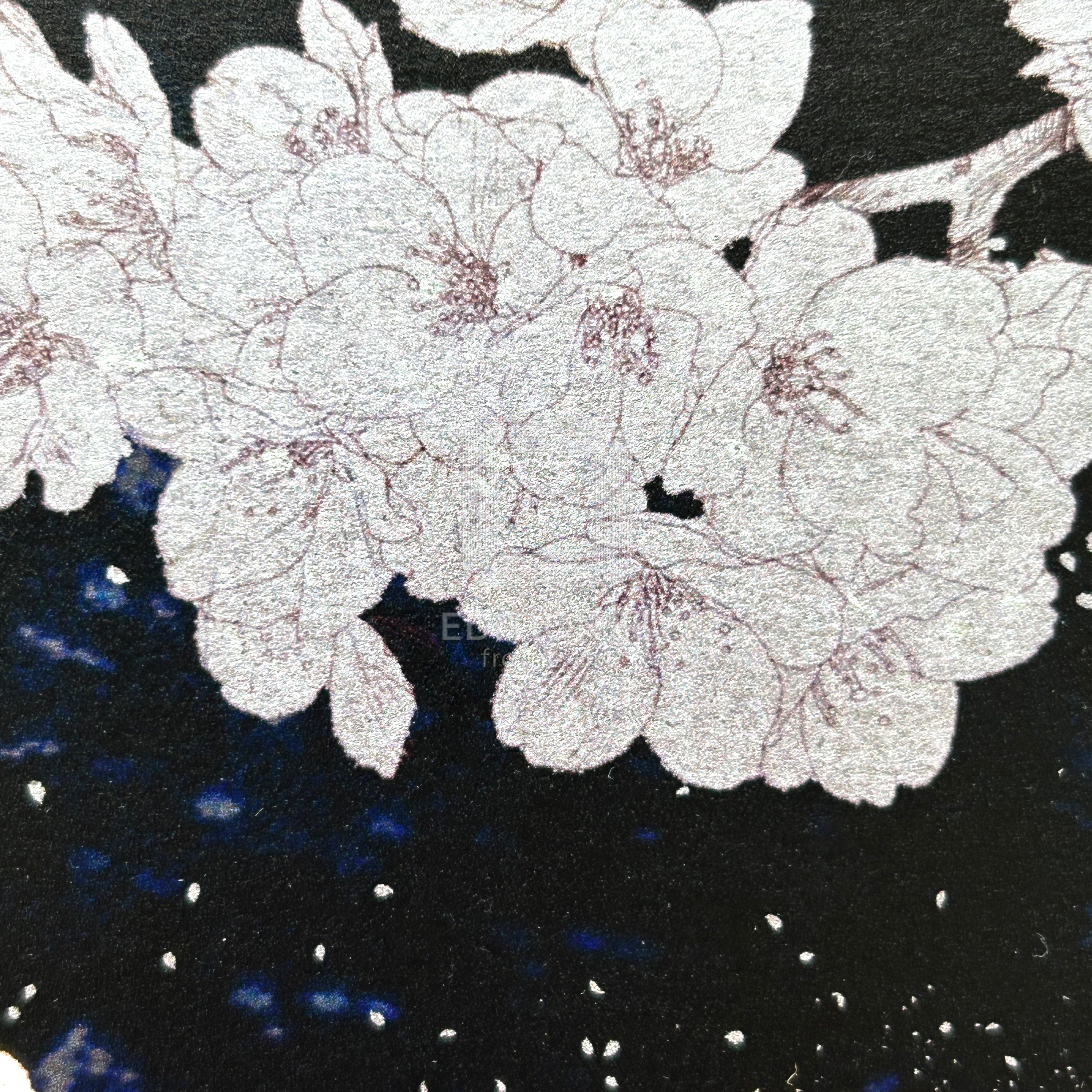 88グラフ1 『anamnesis』プラチナ版 /清原紘（直筆サイン入り/限定30枚
