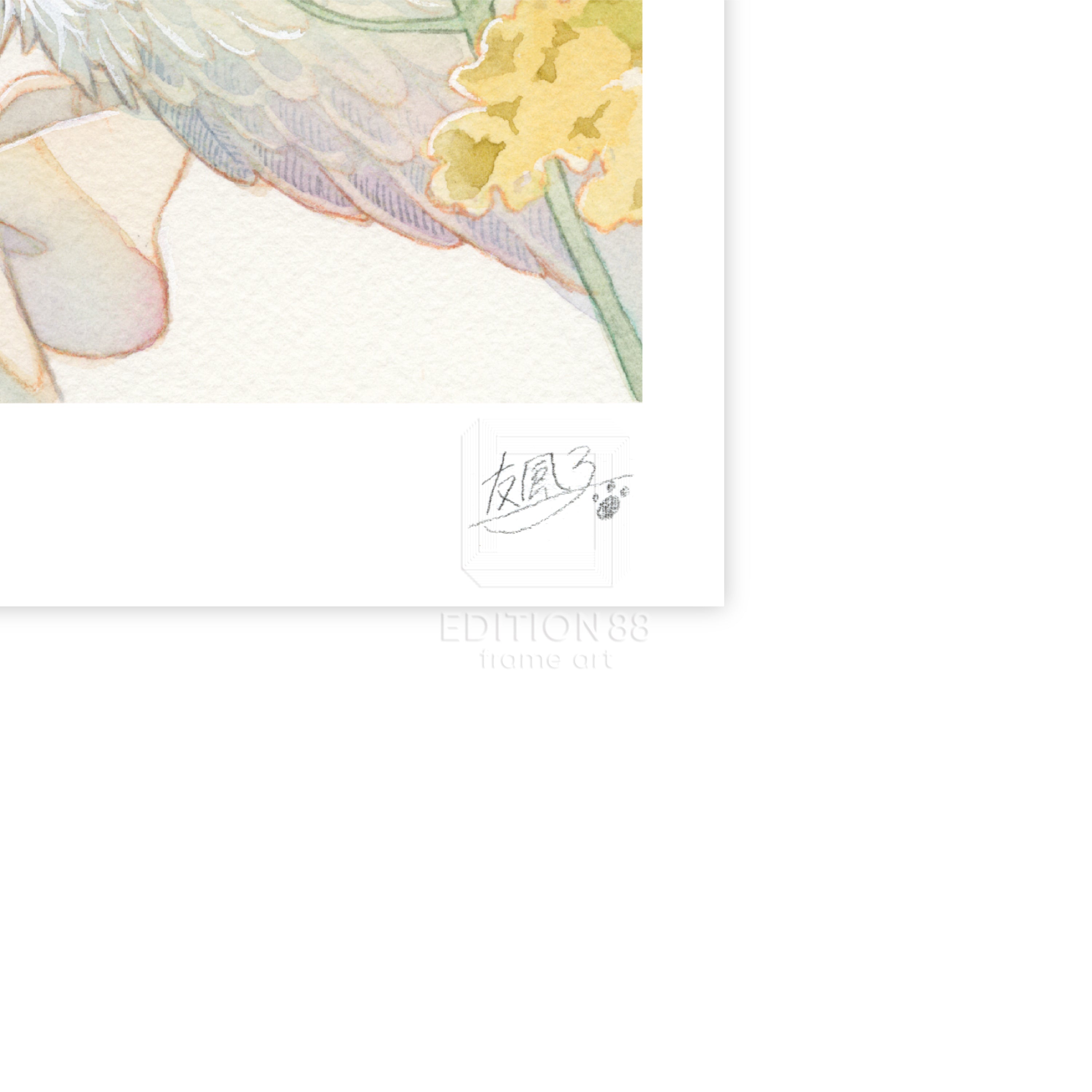 88グラフ15 『菜の花』 / 友風子（直筆サイン・工房手彩入り/限定20枚）
